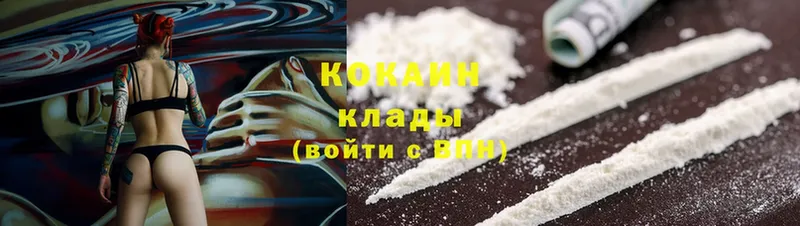 где купить наркоту  Алатырь  Cocaine Эквадор 